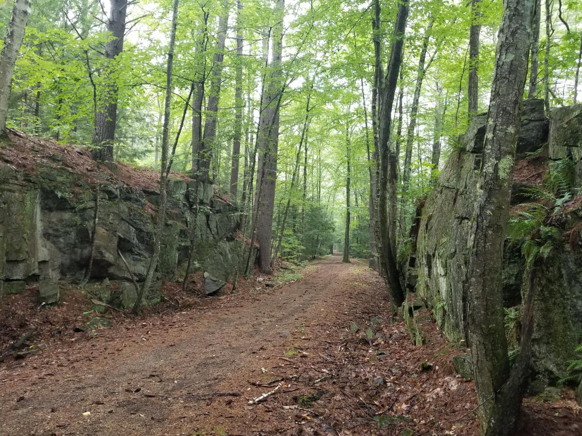 A photo of the rail trail along Amherst North-02