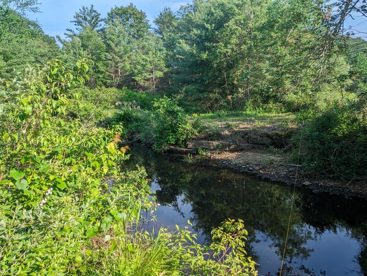 The site of the proposed Beaver Brook Bridge, with the former railroad's granite abutments still visible