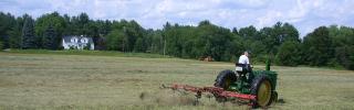 Meadow Maintenance