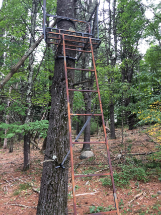 Tree stand