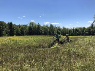 Joppa Hill Farm Trail across meadow.