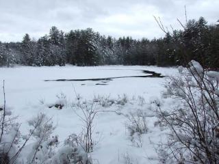 Beaver Pond on Joe English Brook in winter.